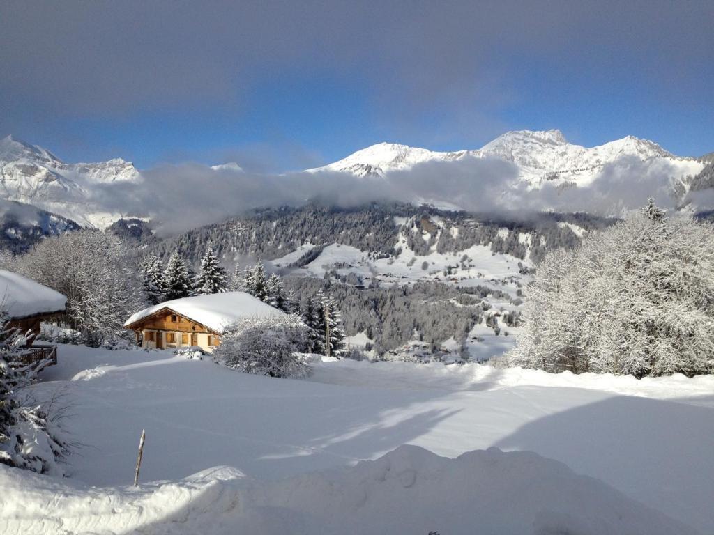 Le Caprice Des Neiges Hotel Crest-Voland Bagian luar foto