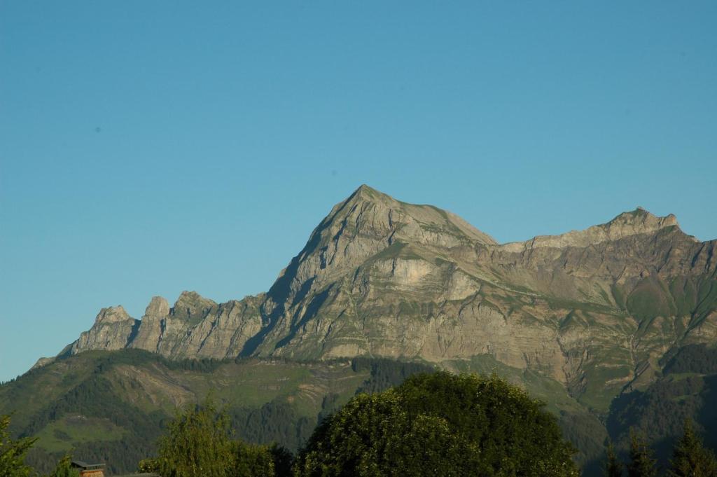 Le Caprice Des Neiges Hotel Crest-Voland Bagian luar foto