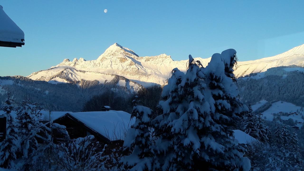 Le Caprice Des Neiges Hotel Crest-Voland Ruang foto