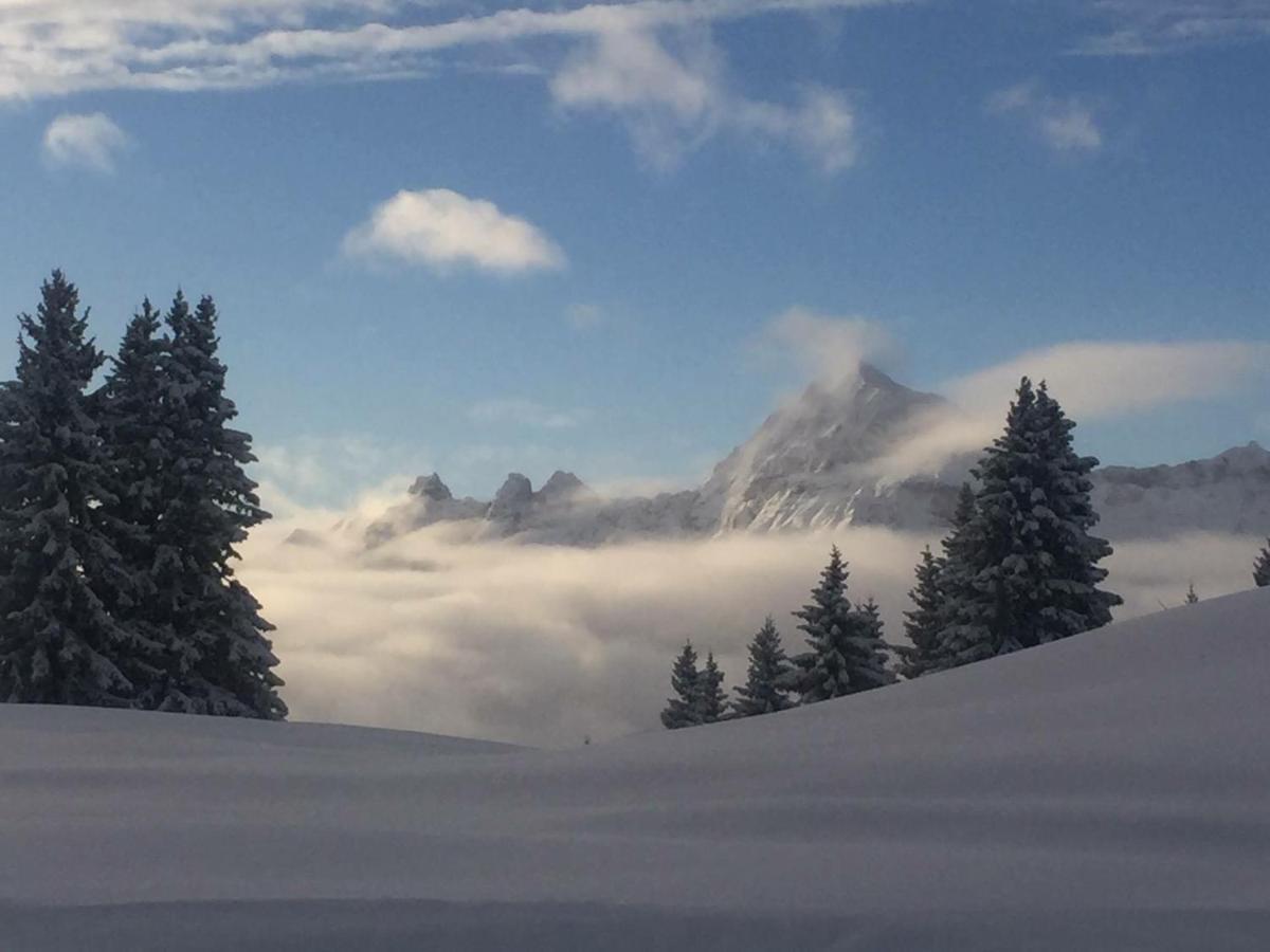 Le Caprice Des Neiges Hotel Crest-Voland Ruang foto